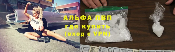 прущие грибы Ельня